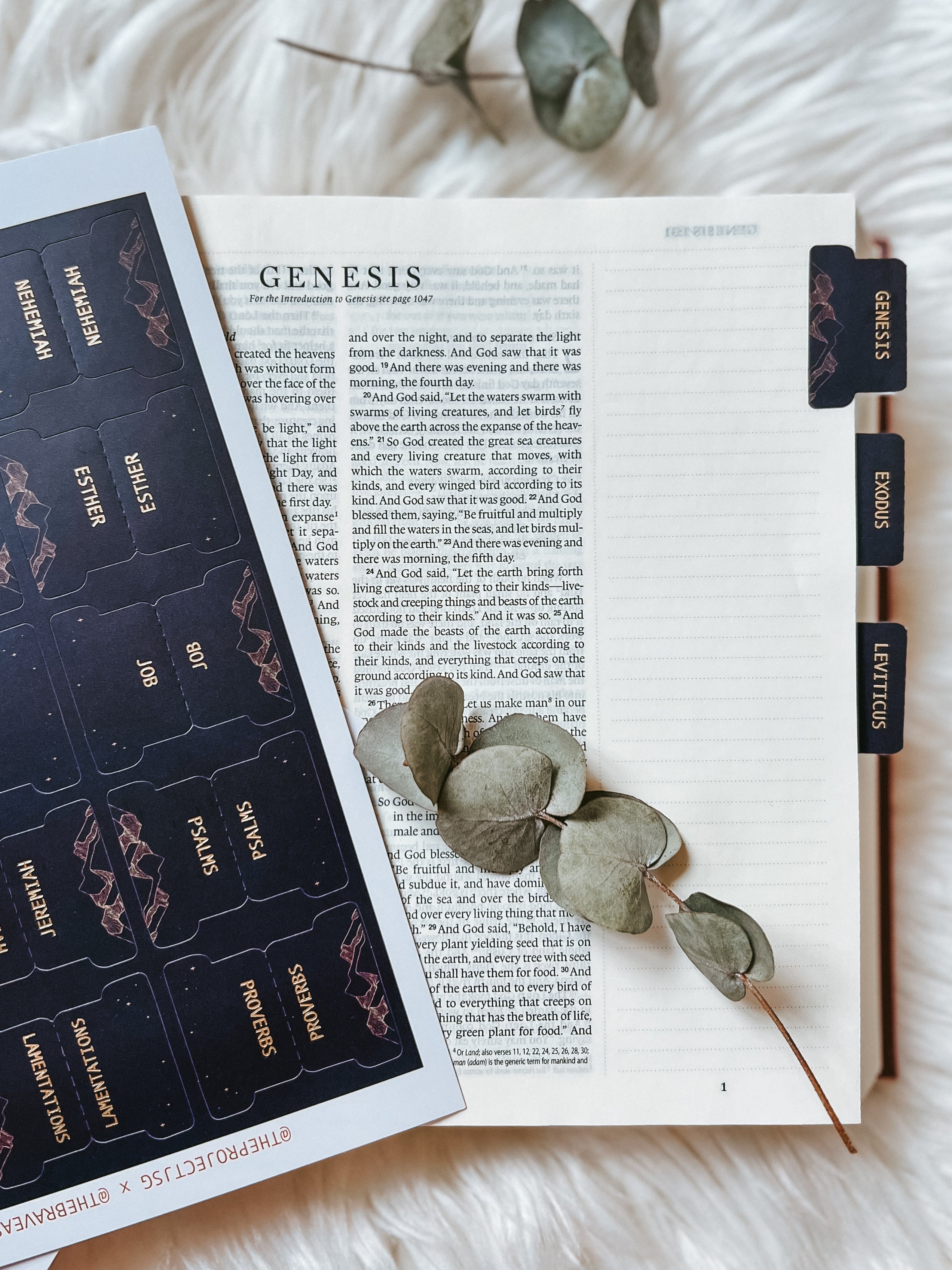 Bible Tabs | Midnight Wonder The Project J