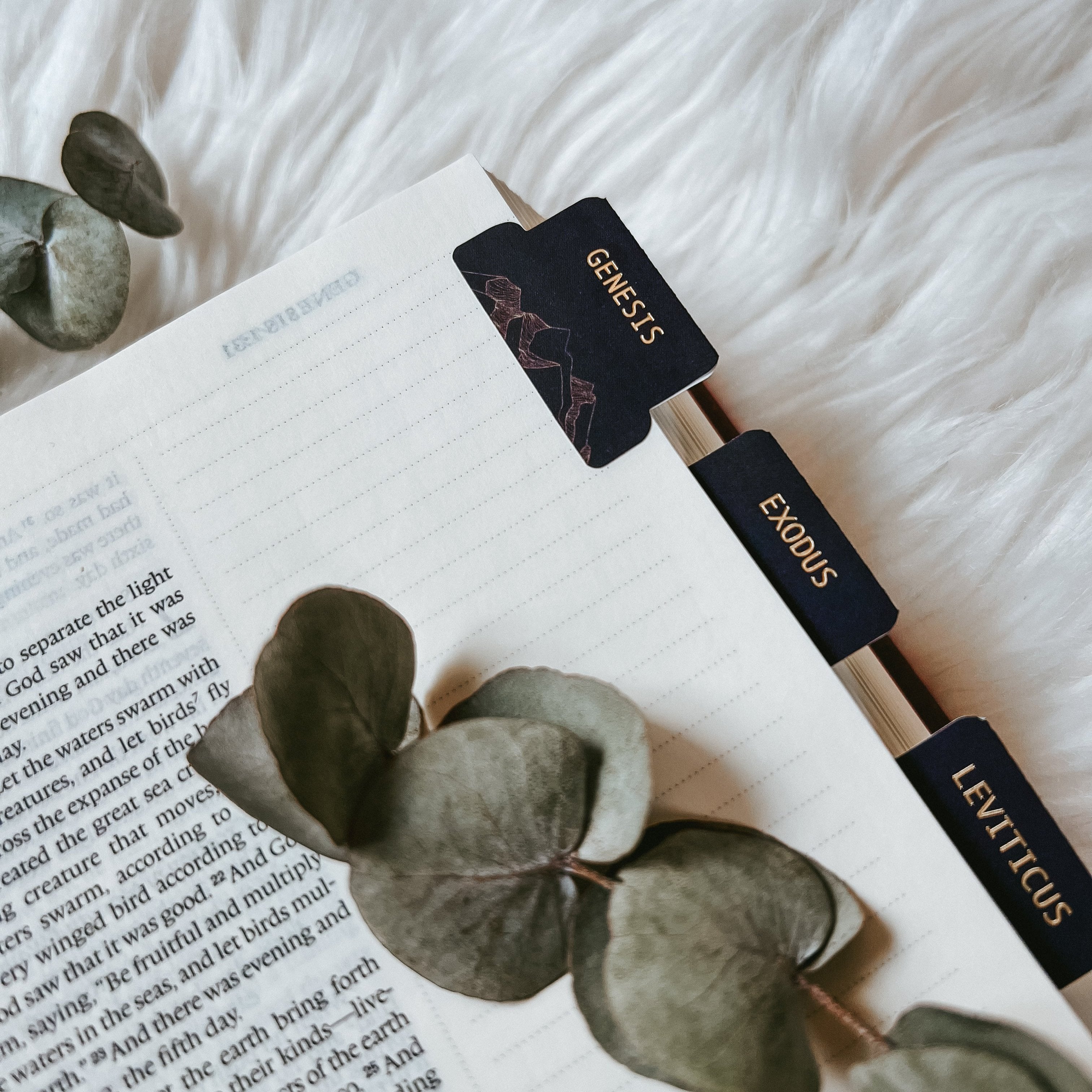 Bible Tabs | Midnight Wonder The Project J