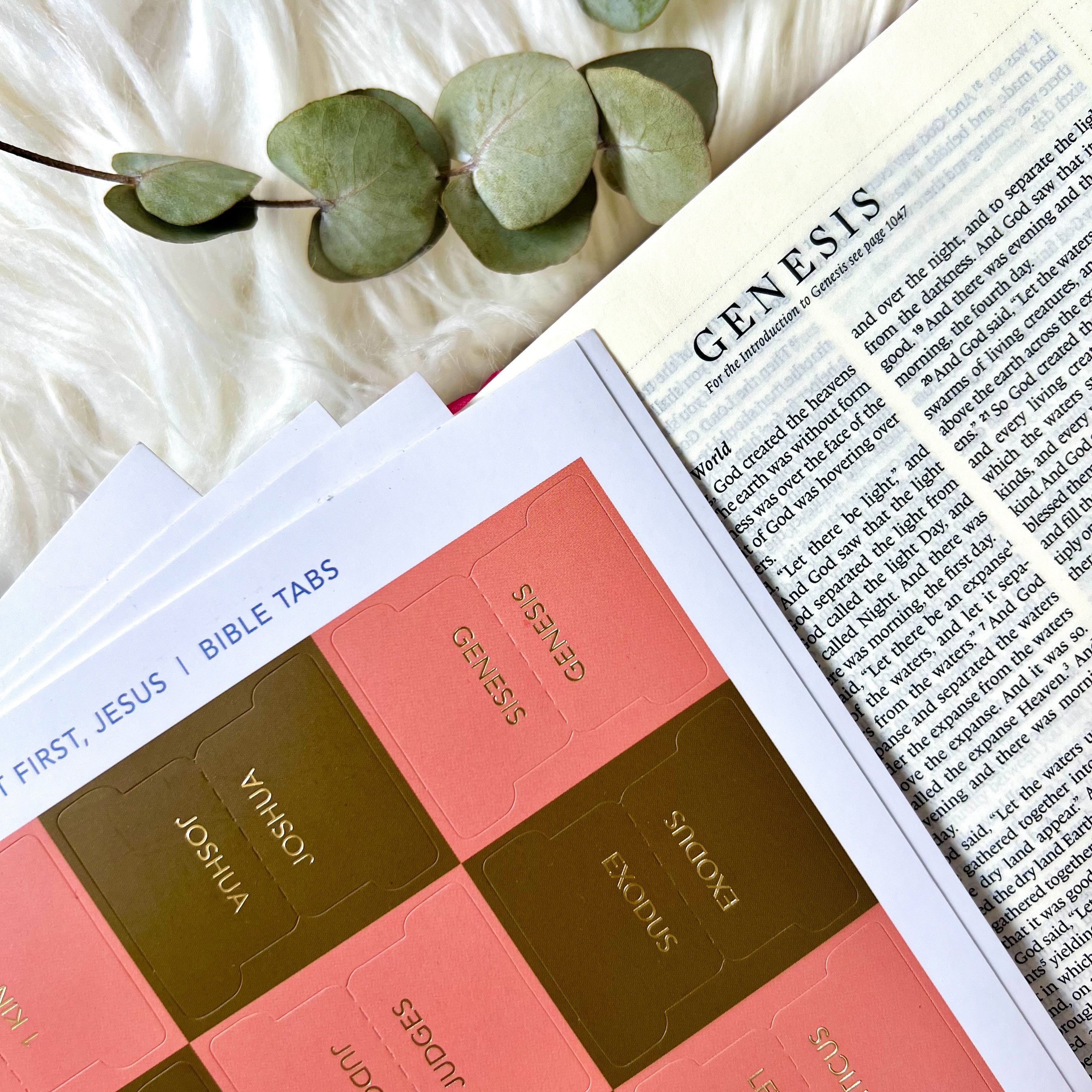 Bible Tabs | Wild Midnight The Project J