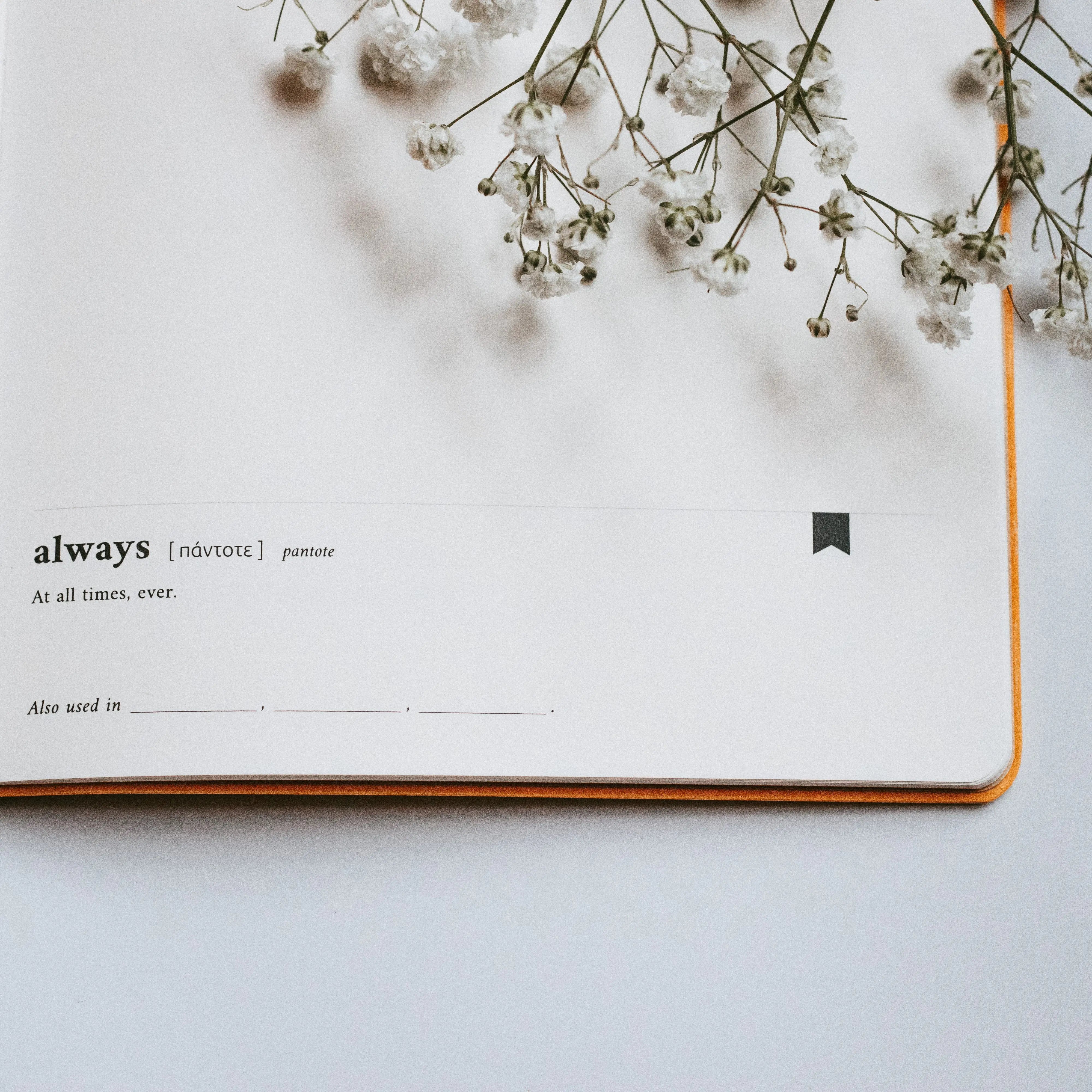 The Project J Notebooks Shop for Good Christian Journaling Paper Products