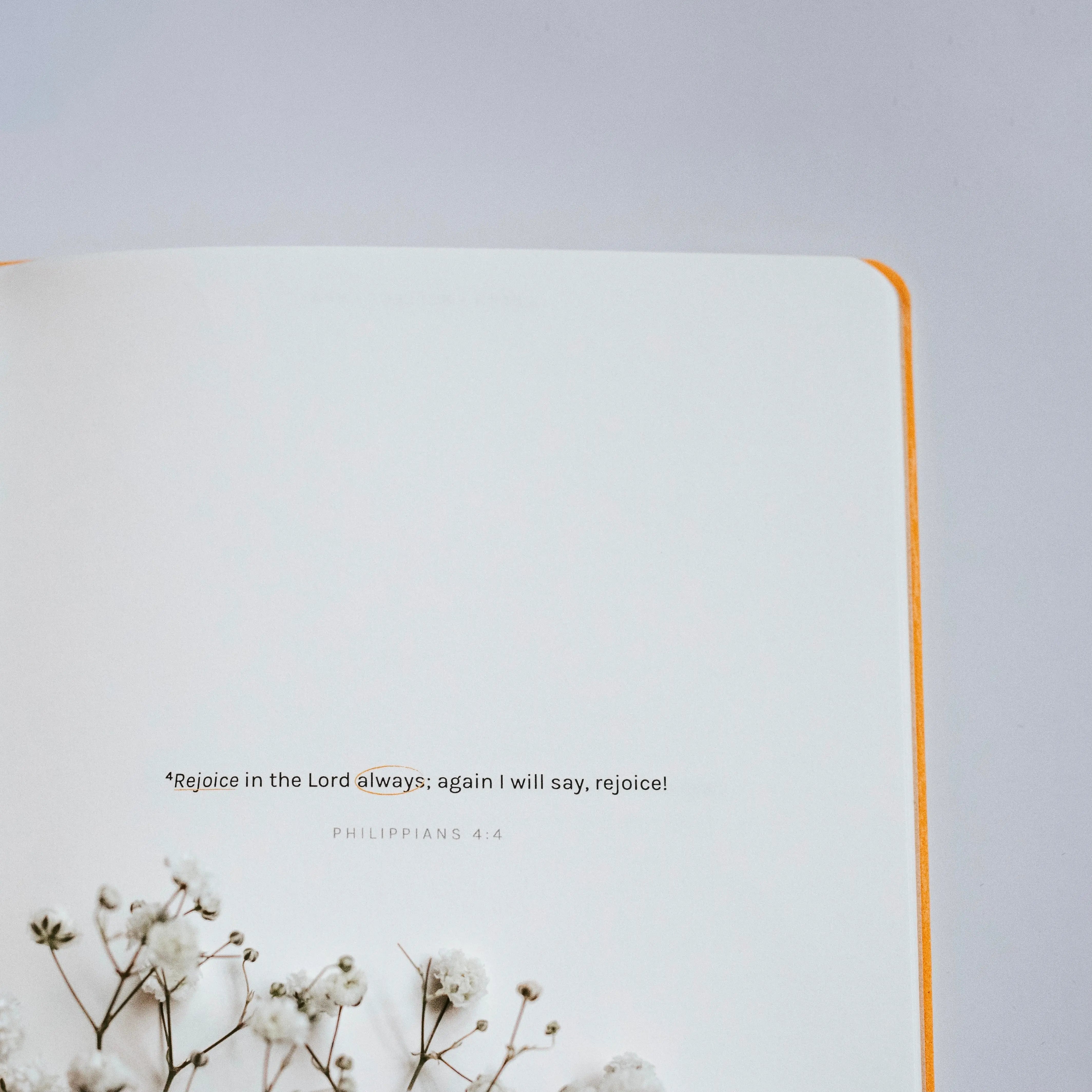 The Project J Notebooks Shop for Good Christian Journaling Paper Products