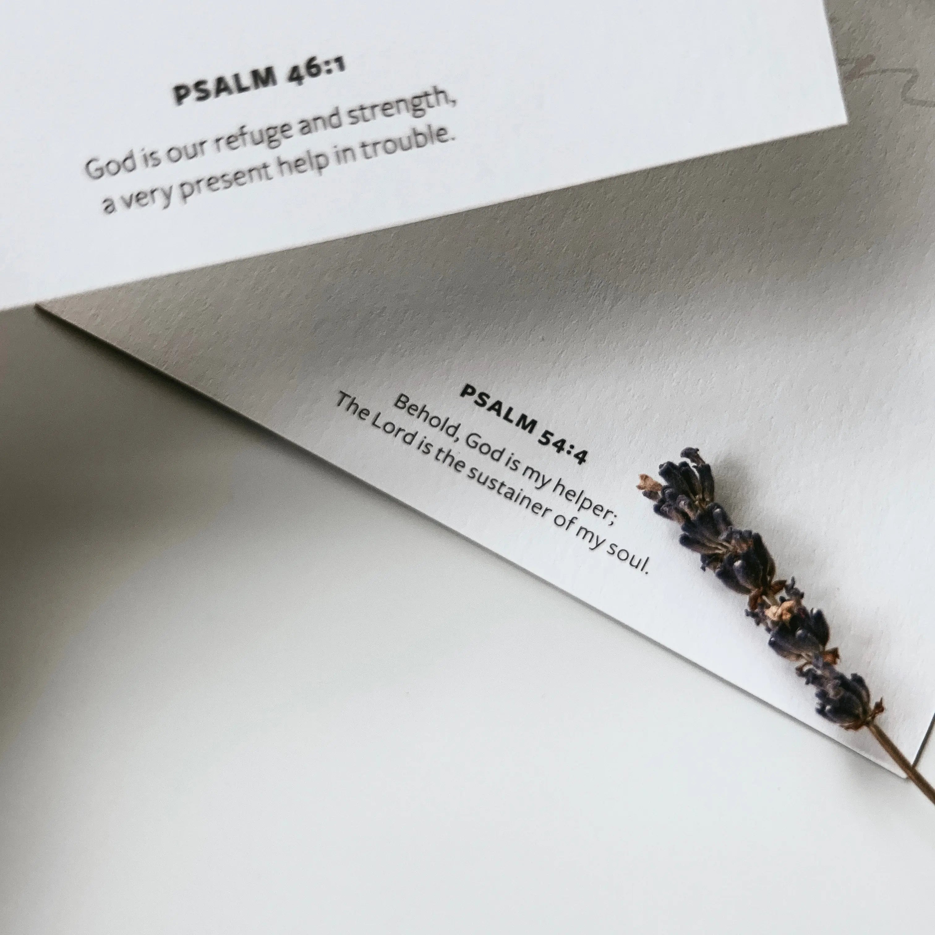 The Project J Projecting Jesus Christianity Tote Bags Tees Faith Journaling Apparel