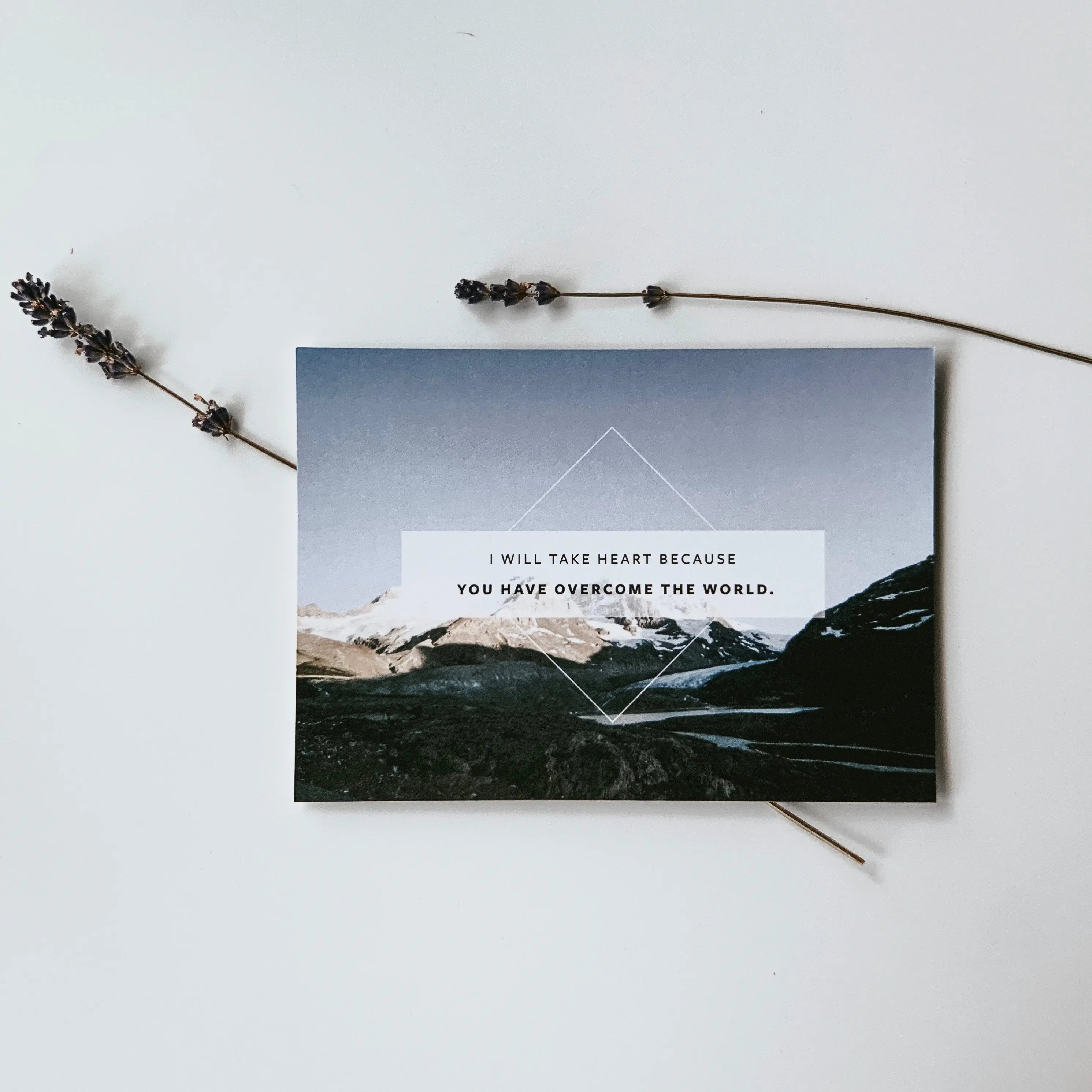 The Project J Projecting Jesus Christianity Tote Bags Tees Faith Journaling Apparel