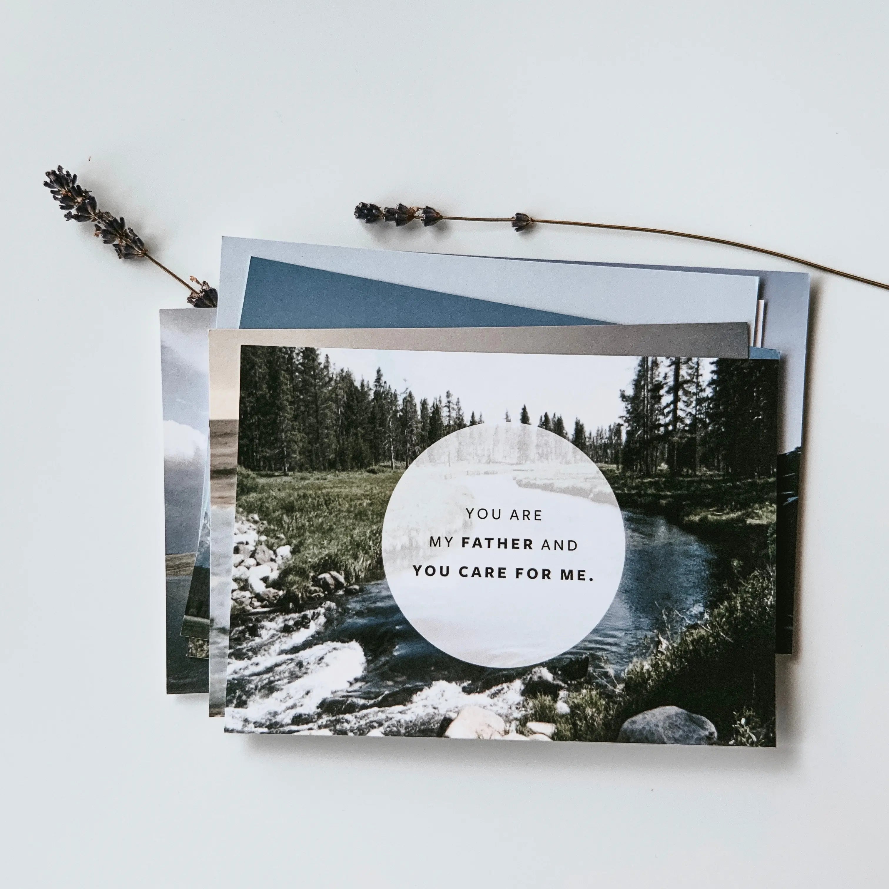 Declaration Cards (Set of 14) - The Project J