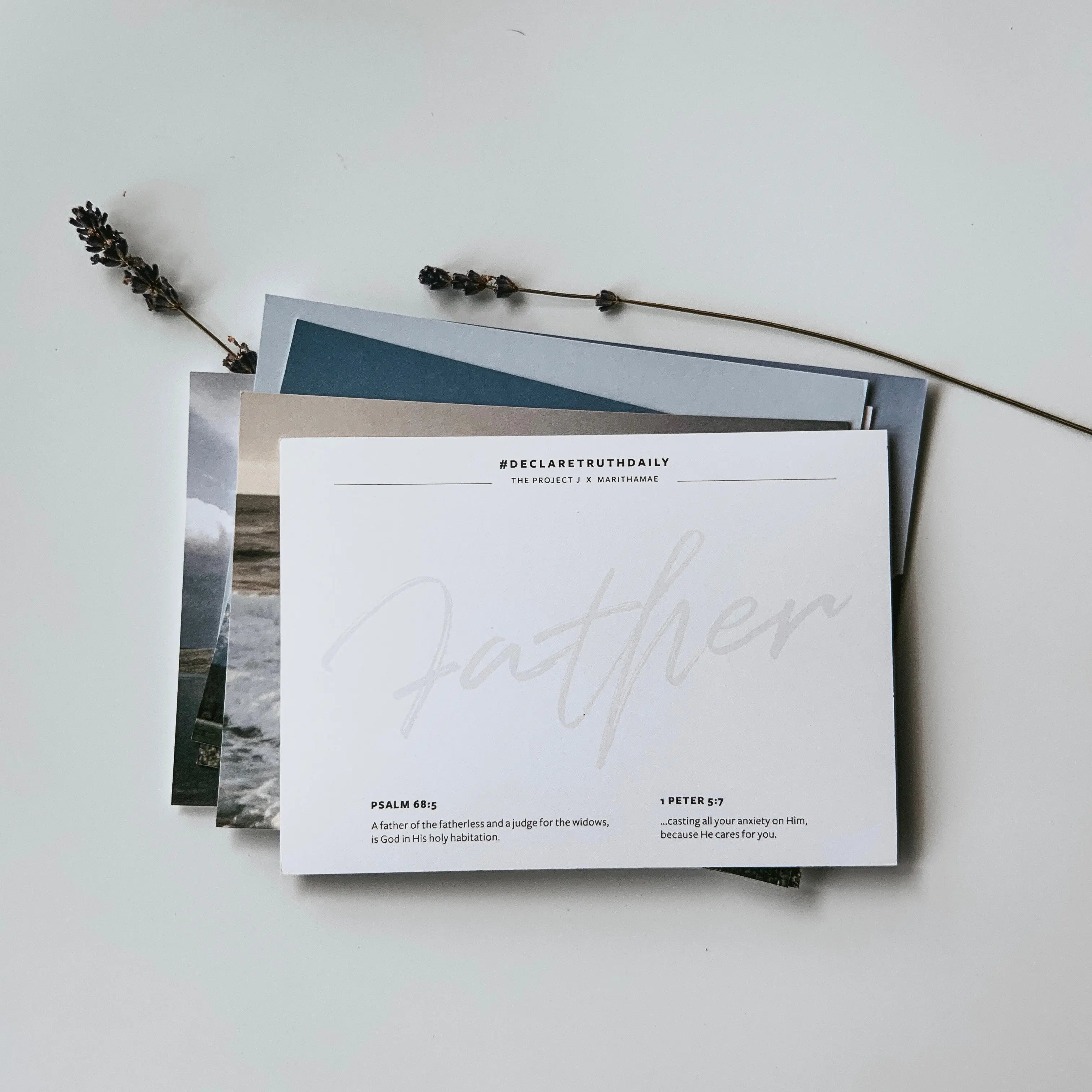 Declaration Cards (Set of 14) - The Project J