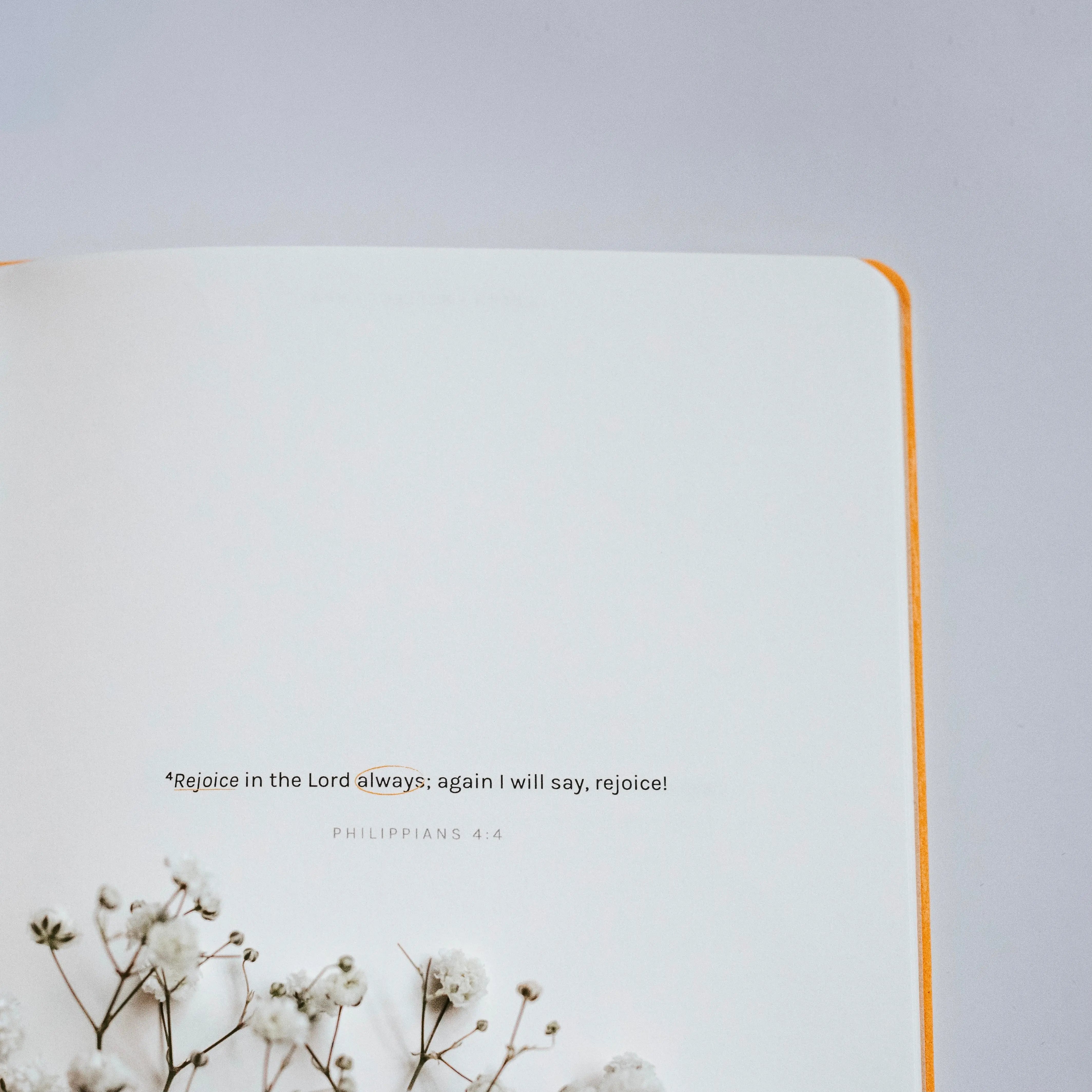 The Project J Notebooks Shop for Good Christian Journaling Paper Products