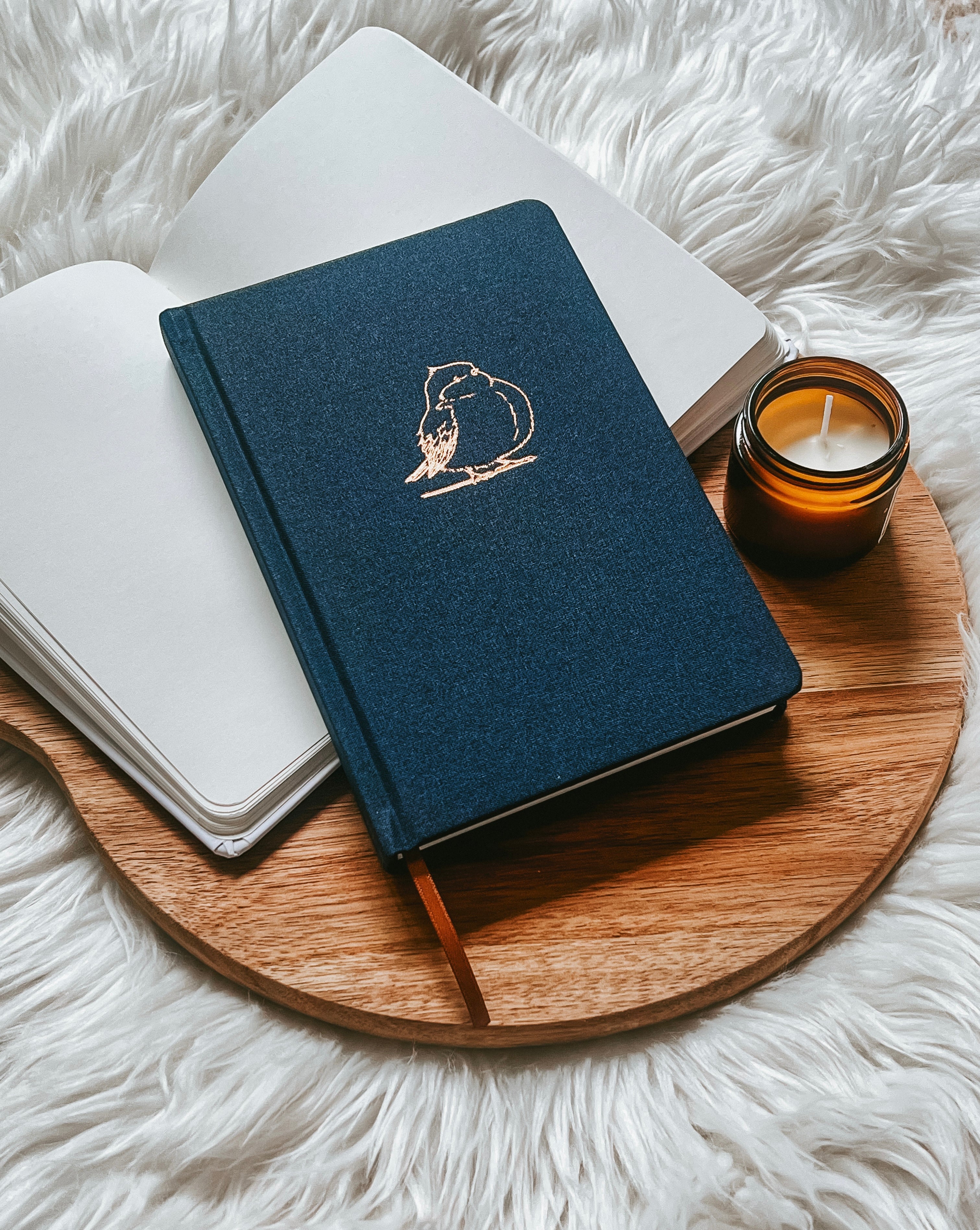 Sparrow in Navy (Fabric) | #TPJx Notebook The Project J