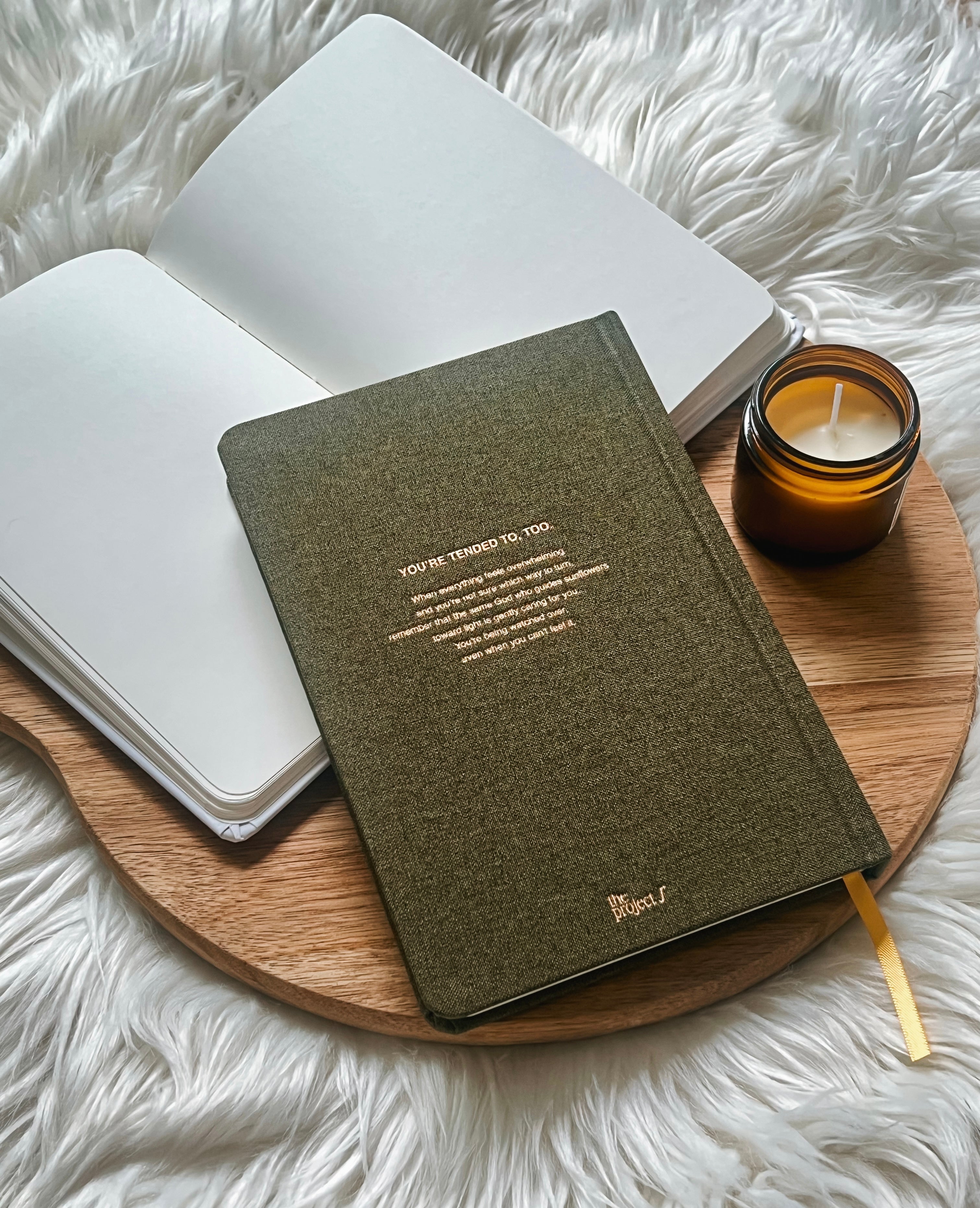 Sunflowers in Fields | #TPJx Notebook The Project J