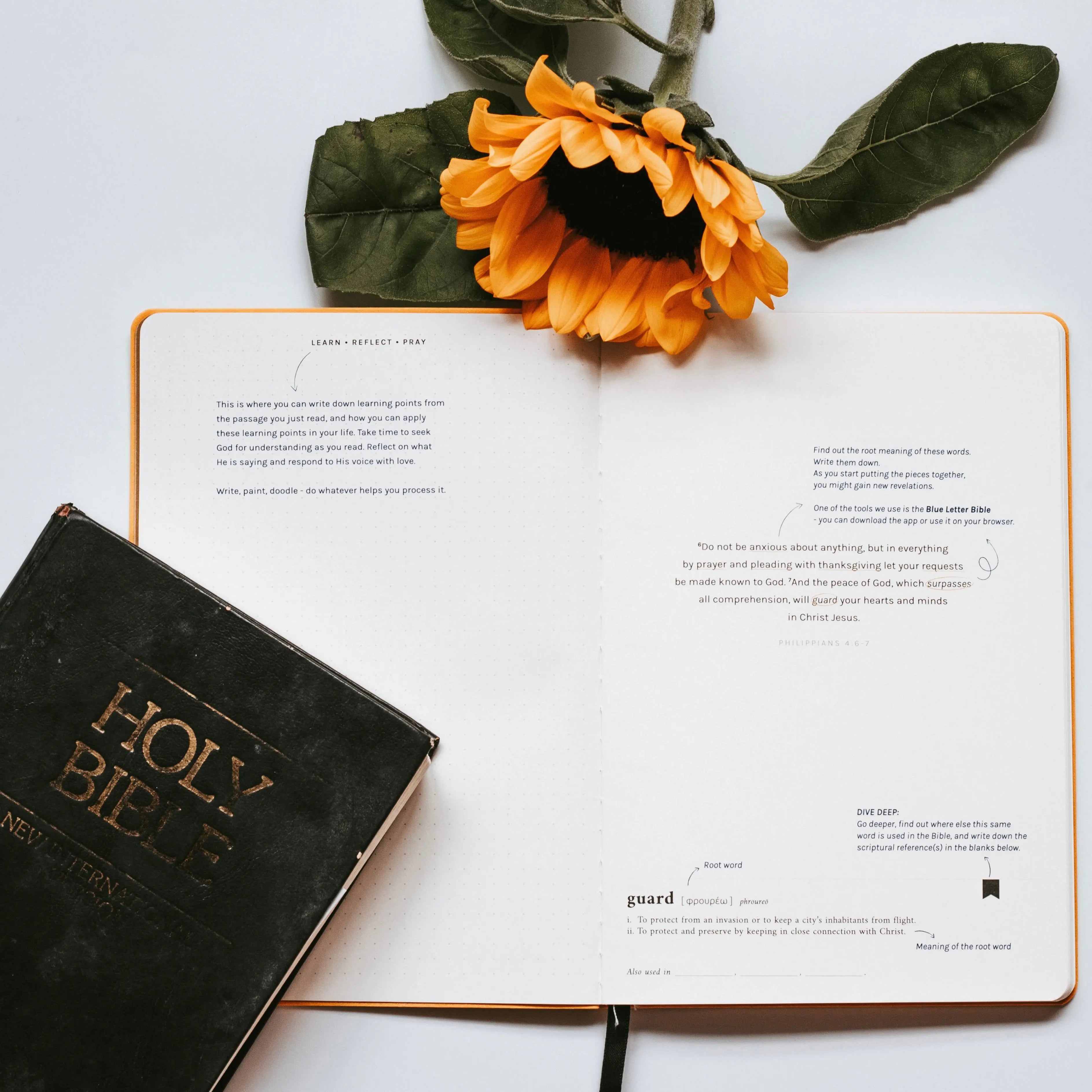 The Project J Notebooks Shop for Good Christian Journaling Paper Products